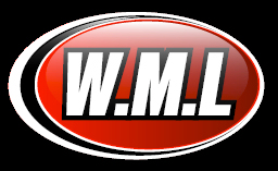 WML Security Solutions
