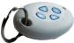 Wireless Keyfob